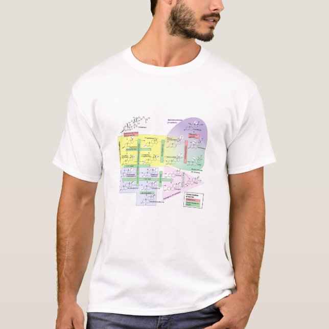 T-shirt Steroidogenèse humaine Diagramme Biologique Chimiq (Devant)