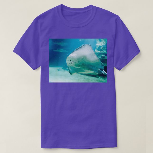 T-shirt Stingray 1 (Design devant)