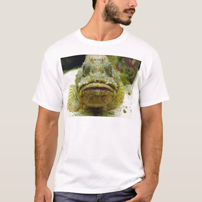 T-shirt Stonefish (Devant)
