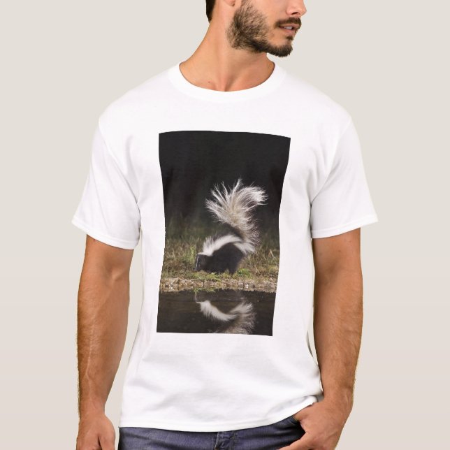 T-shirt Stried Skunk, Mephitis mephitis (Devant)