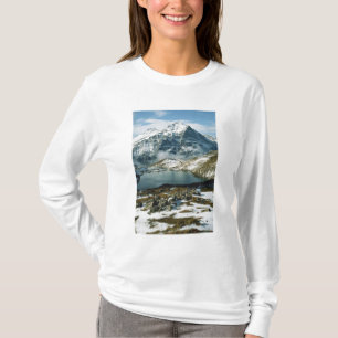T-shirt Suisse, Grindelwald, Alpes bernoises, Vue