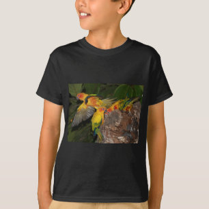 T-shirt Sun Conures
