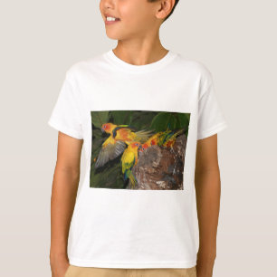 T-shirt Sun Conures