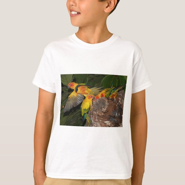 T-shirt Sun Conures (Devant)