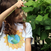Sunflower Earth