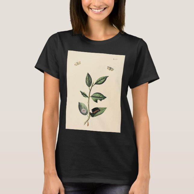 T-shirt Surinaamsche Vlinders Naar Het Leven Geteekend Pap (Devant)