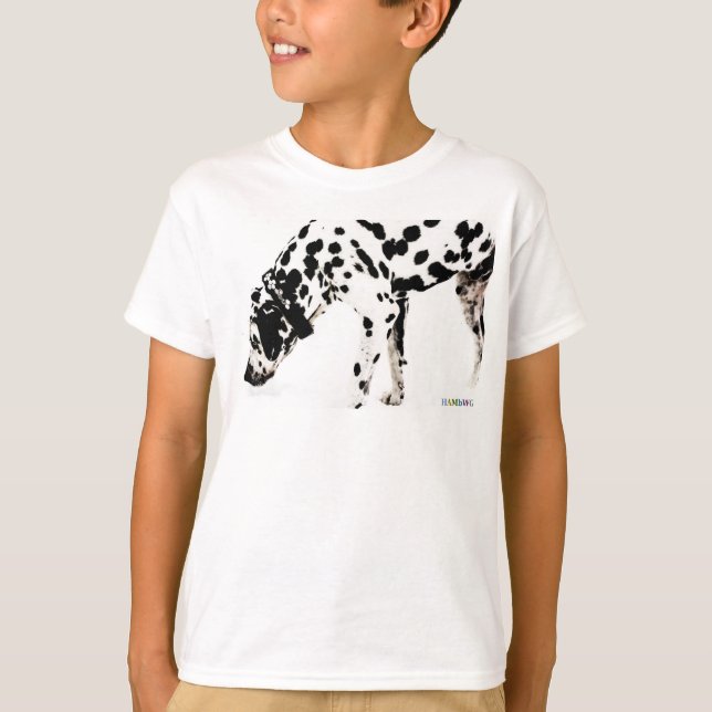 T-shirt Sweatshirt HAMbWG - Dalmation (Devant)