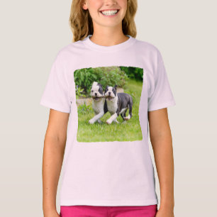 T-shirt Sympa drôles Boston Terrier chiens chiots jouer -