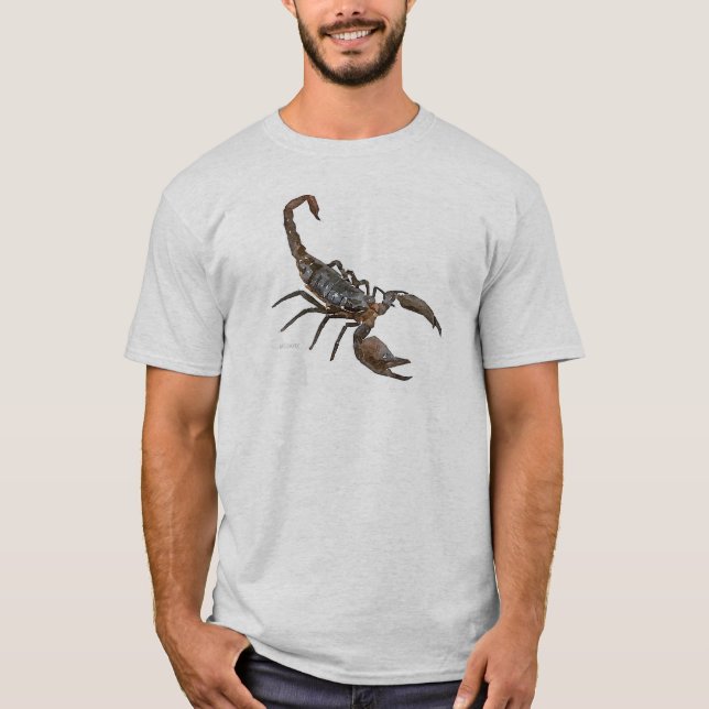 T-shirt sympa Scorpion (blanc) (Devant)