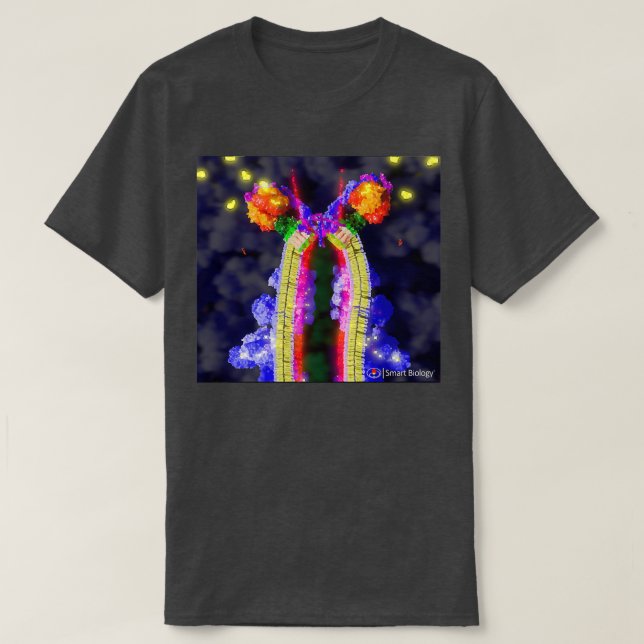 T-shirt Synthase ATP (Design devant)