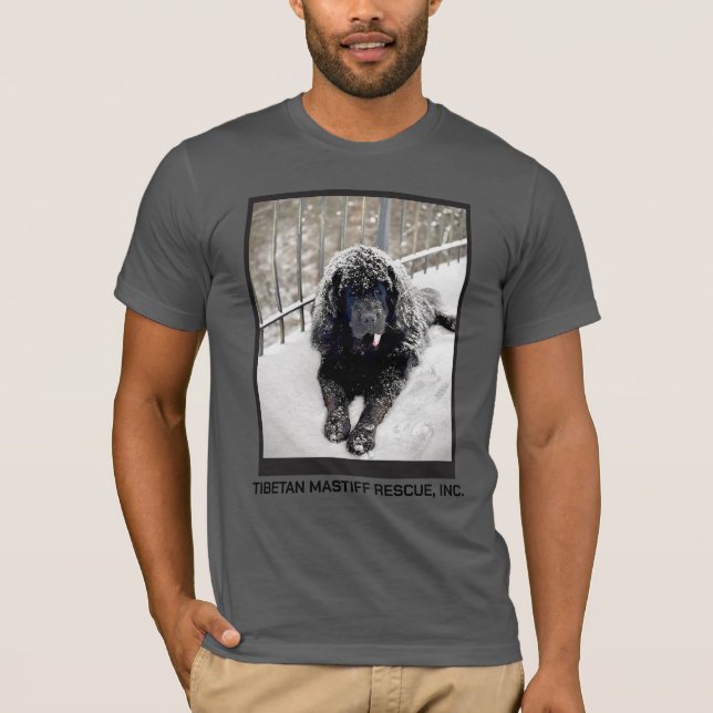 T-shirt T shirt gris Bentley (Devant)