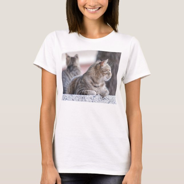 T-shirt Tabby cats en repos (Devant)