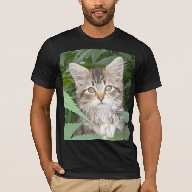 T-shirt Tabby Kitten (Devant)