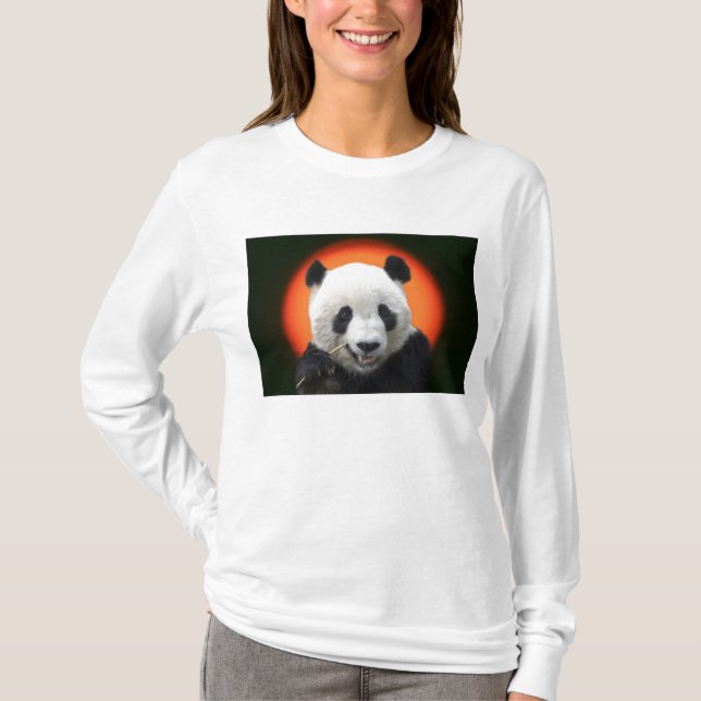 T-SHIRT TAI SHAN (Devant)
