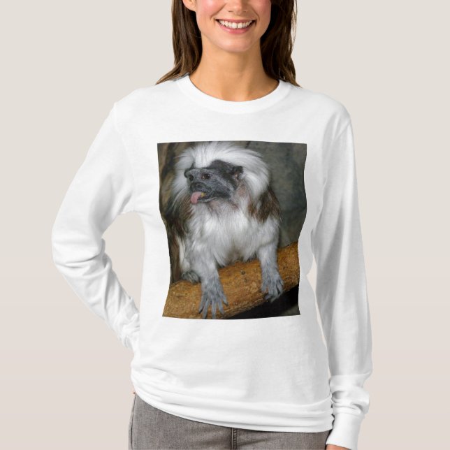 T-shirt Tamarin mignon de Coton-dessus (Devant)