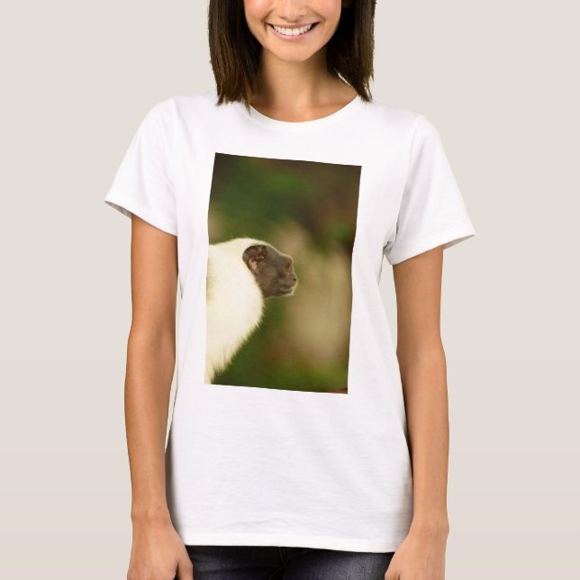 T-shirt Tamarin pie (Devant)
