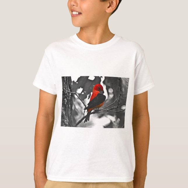 T-shirt Tangara écarlate mâle (Devant)