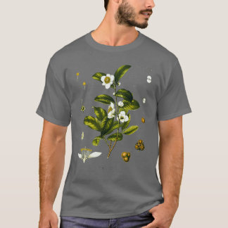 T-shirt Tea plante dessin biologique Camellia Sinensis