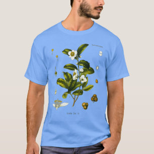 T-shirt Tea plante dessin biologique Camellia Sinensis