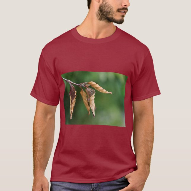 T-shirt Tee-shirt à motif de feuilles inspiré de la nature (Devant)