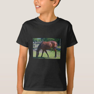 T-shirt Tee - shirt du cheval de l'enfant 100_0830-1