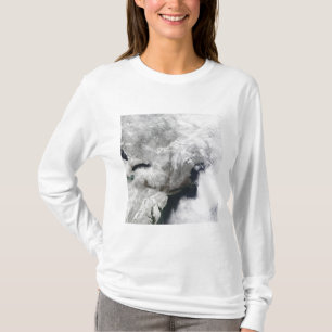 T-shirt Tempête hivernale sévère