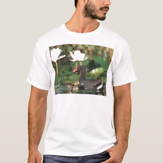 T-shirt Terrain communal Moorhead de Hawaïen (Devant)