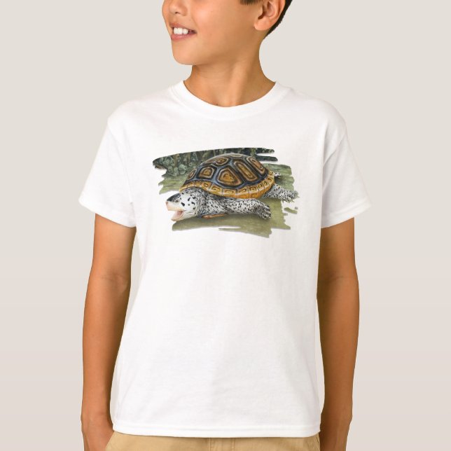 T-shirt Terrapin de dos en forme de losange dans le (Devant)