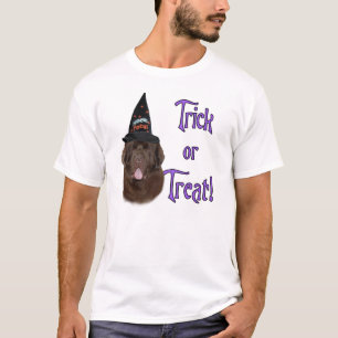 T-shirt Terre-Neuve (brun) Trick