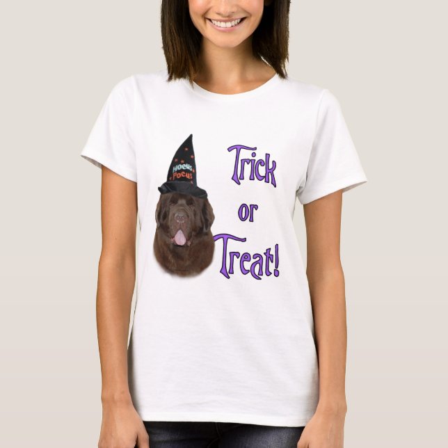 T-shirt Terre-Neuve (brun) Trick (Devant)