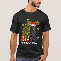Terre-Neuve Feux de Noël Chien Arbre Père Noël Noë