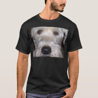 T-shirt Terrier blond comme les blés doucement enduit