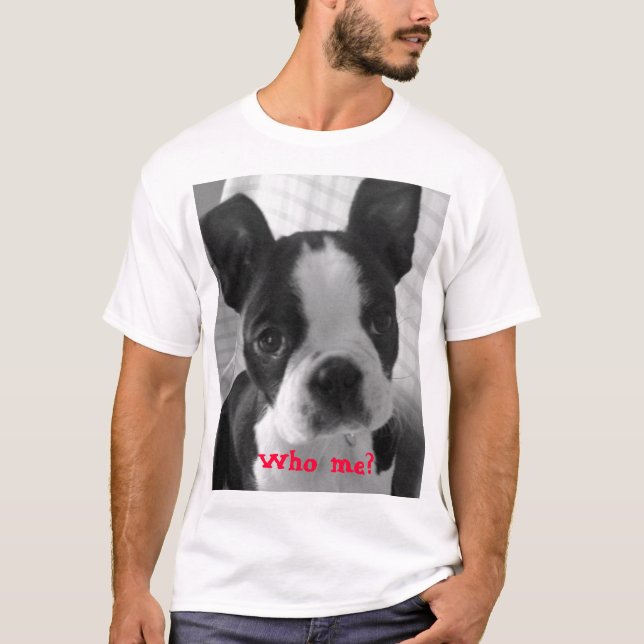 T-shirt terrier de guerre biologique Boston, qui je ? (Devant)