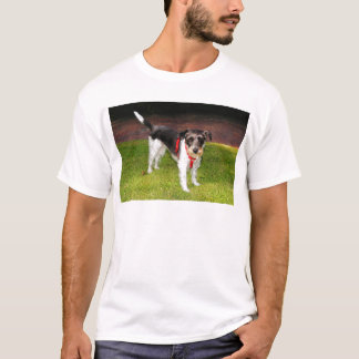 T-shirt terrier Jack Russell