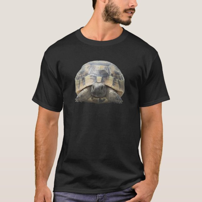 T-shirt Testudo Tortue Grecque Tuced Dans La Coquille Coup (Devant)