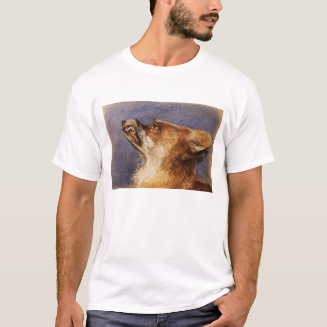 T-shirt Tête d'un Fox (Devant)