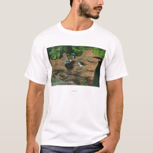 T-shirt Têtes exposées en trous de noeud de séquoia gé