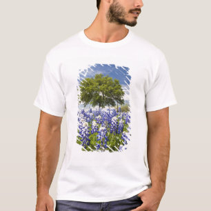 T-shirt Texas bluebonnets (lupinus texensis) et chêne