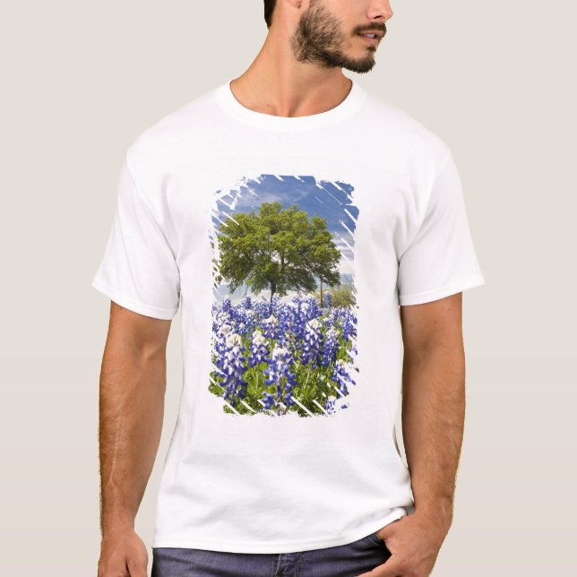 T-shirt Texas bluebonnets (lupinus texensis) et chêne (Devant)