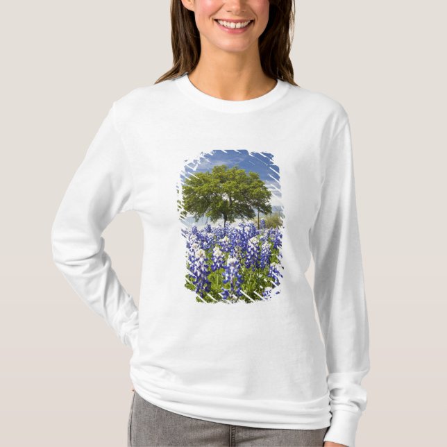 T-shirt Texas bluebonnets (lupinus texensis) et chêne (Devant)