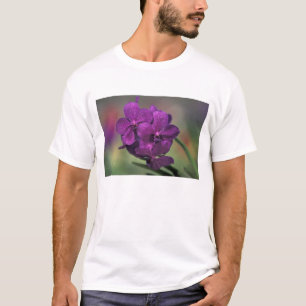T-shirt Thaïlande, nord de la Thaïlande, près de Chang Mai