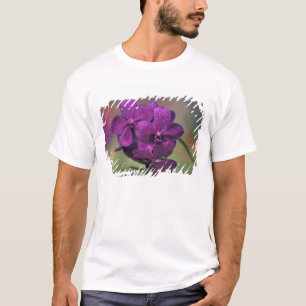 T-shirt Thaïlande, Nord de la Thaïlande, près de Chang Mai