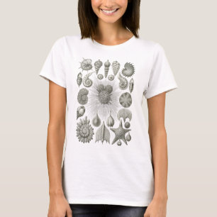 T-shirt Thalamophora