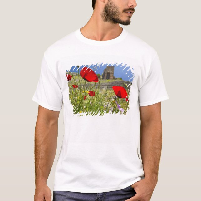 T-shirt Théâtre antique de l'Acropole de Pergame (Devant)