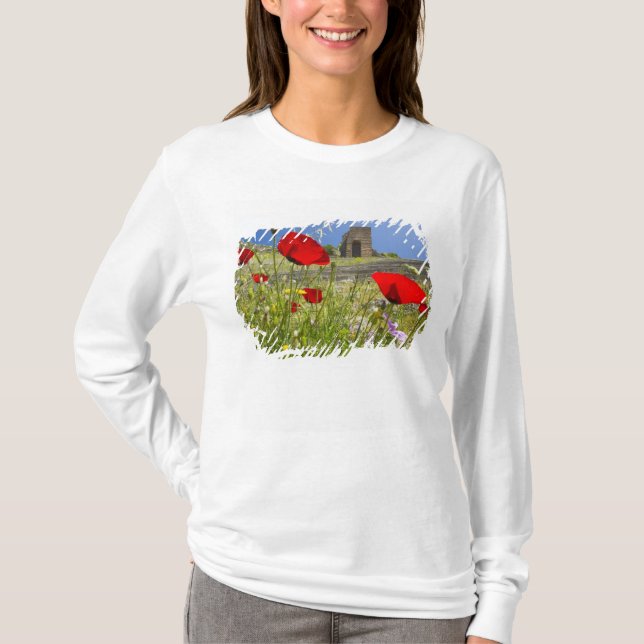 T-shirt Théâtre antique de l'Acropole de Pergame (Devant)