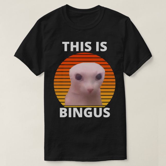 T-shirt This is bingus meme (Design devant)