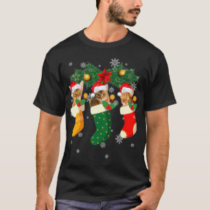 T-shirt Three Abyssinian Cat In Sock Funny Christmas Cat A