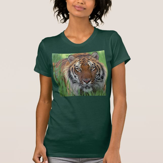 T-shirt Tigre (Devant)
