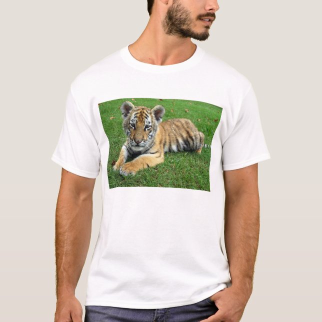 T-shirt Tigre CUB (Devant)