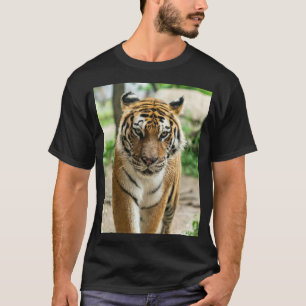 T-shirt Tigre de randonnée forestière